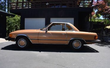 Unknown-Other-1975-Custom-Brown-2