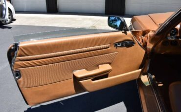 Unknown-Other-1975-Custom-Brown-3