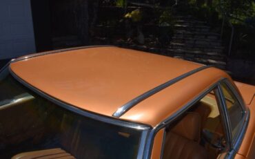 Unknown-Other-1975-Custom-Brown-7