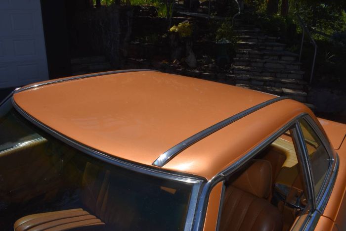Unknown-Other-1975-Custom-Brown-7