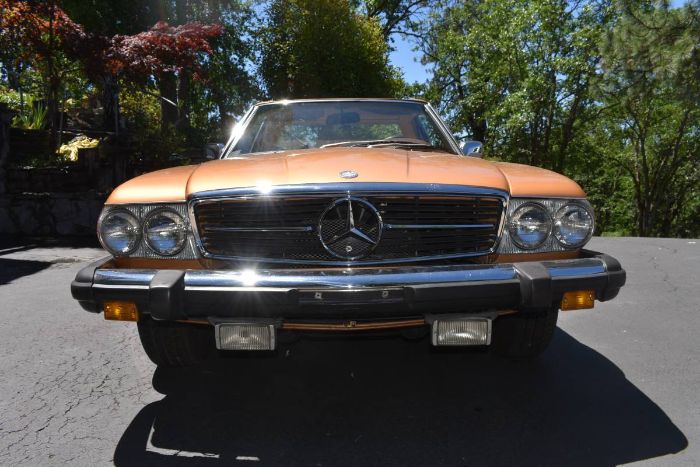 Unknown-Other-1975-Custom-Brown-8