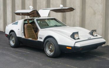 Unknown-Other-1975-White-Black-3