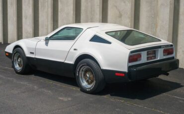 Unknown-Other-1975-White-Black-6