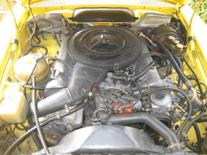 Unknown-Other-1975-Yellow-4