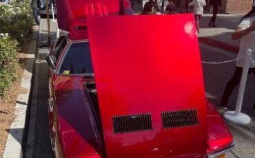 Unknown-Pantera-1972-Sunset-Red-22
