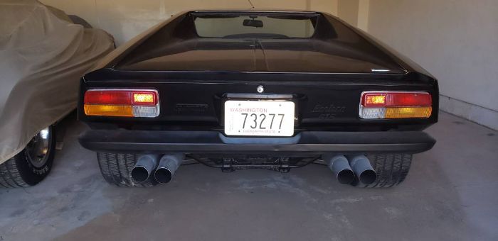 Unknown-Pantera-1973-Black-8