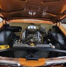 Unknown-Parkwood-1959-Orange-6