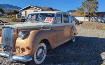 Unknown-Princess-1965-cream-amp-brown-brown-1