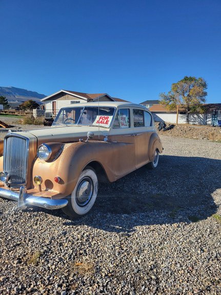 Unknown-Princess-1965-cream-amp-brown-brown-1