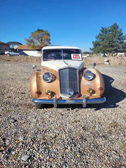 Unknown-Princess-1965-cream-amp-brown-brown