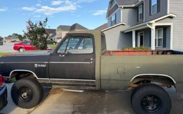 Unknown-Ram-w100-1985-1
