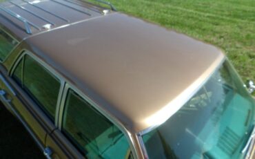 Unknown-Rambler-1966-Gold-Blue-4