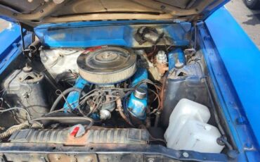 Unknown-Ranchero-1969-Blue-3