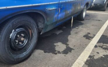 Unknown-Ranchero-1969-Blue-9