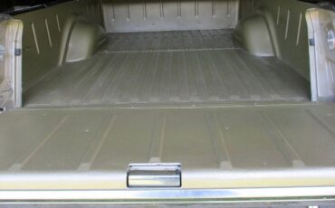 Unknown-Ranchero-1969-Champagne-Gold-Black-2