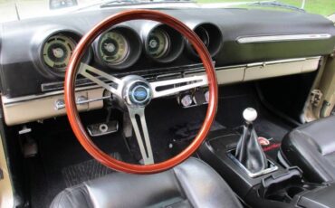 Unknown-Ranchero-1969-Champagne-Gold-Black-3