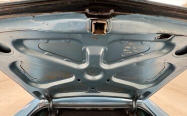 Unknown-Riviera-1964-Marlin-Blue-Blue-32