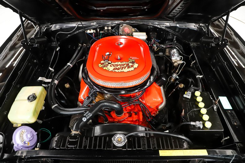 Unknown-Road-runner-1969-Black-Velvet-White-3