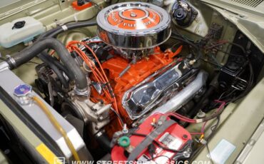 Unknown-Road-runner-1969-Forest-Green-Metalli-Green-24