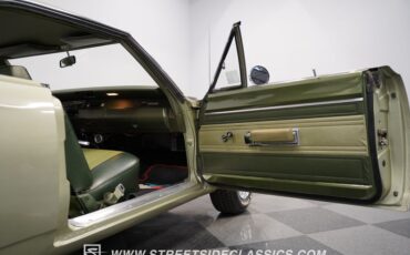 Unknown-Road-runner-1969-Forest-Green-Metalli-Green-28