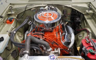 Unknown-Road-runner-1969-Forest-Green-Metalli-Green-32