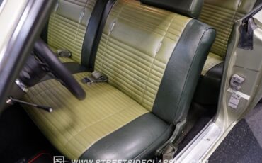 Unknown-Road-runner-1969-Forest-Green-Metalli-Green-40