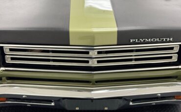 Unknown-Road-runner-1969-Frost-Green-Metallic-Light-Green-13