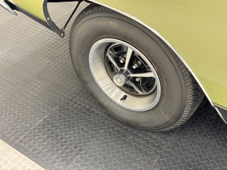 Unknown-Road-runner-1969-Frost-Green-Metallic-Light-Green-15