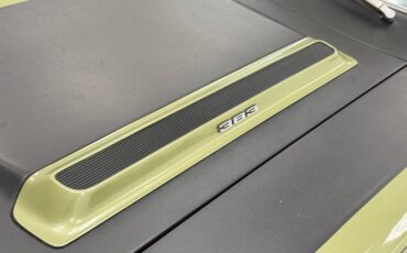 Unknown-Road-runner-1969-Frost-Green-Metallic-Light-Green-16