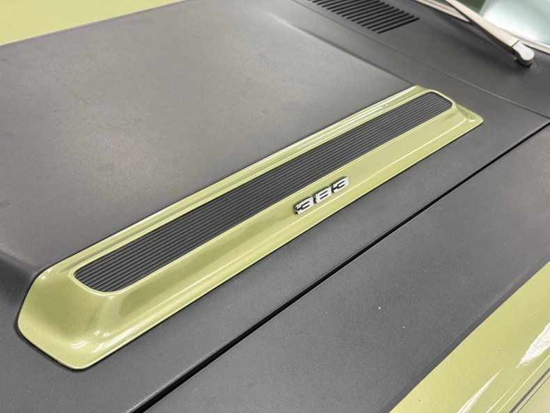 Unknown-Road-runner-1969-Frost-Green-Metallic-Light-Green-16
