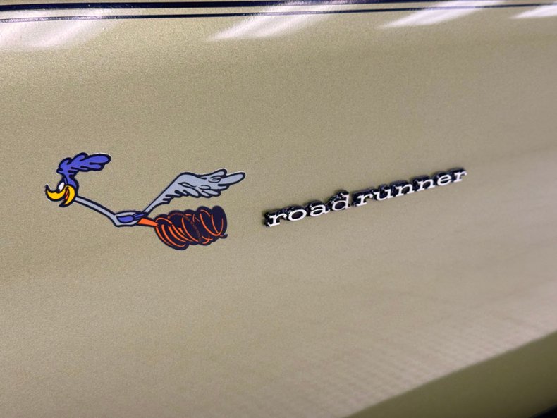 Unknown-Road-runner-1969-Frost-Green-Metallic-Light-Green-17
