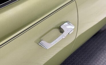 Unknown-Road-runner-1969-Frost-Green-Metallic-Light-Green-21