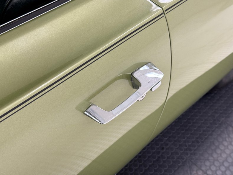Unknown-Road-runner-1969-Frost-Green-Metallic-Light-Green-21