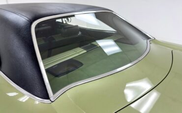 Unknown-Road-runner-1969-Frost-Green-Metallic-Light-Green-22