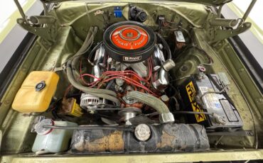Unknown-Road-runner-1969-Frost-Green-Metallic-Light-Green-31