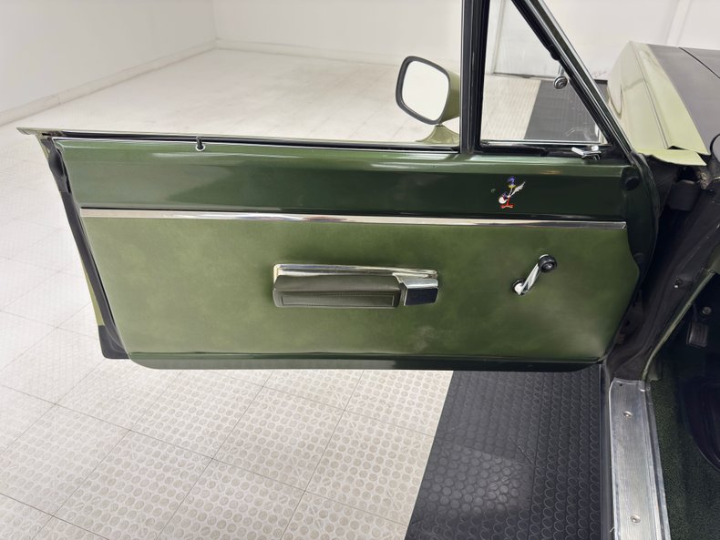 Unknown-Road-runner-1969-Frost-Green-Metallic-Light-Green-33