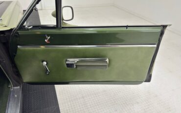 Unknown-Road-runner-1969-Frost-Green-Metallic-Light-Green-34