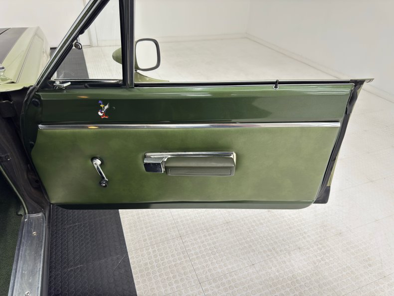Unknown-Road-runner-1969-Frost-Green-Metallic-Light-Green-34