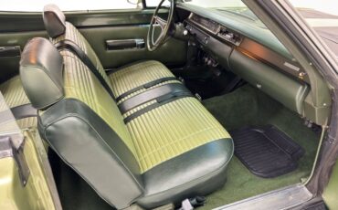 Unknown-Road-runner-1969-Frost-Green-Metallic-Light-Green-39