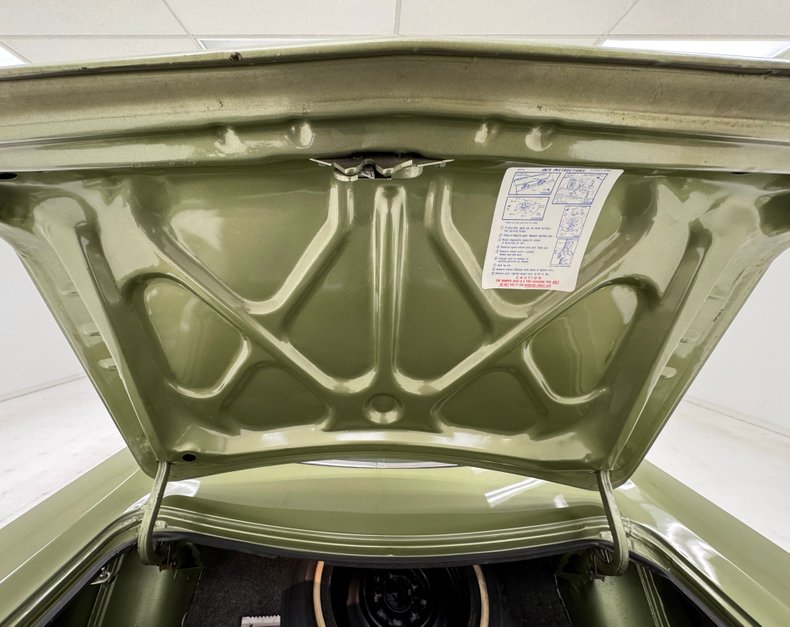 Unknown-Road-runner-1969-Frost-Green-Metallic-Light-Green-4