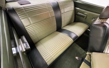 Unknown-Road-runner-1969-Frost-Green-Metallic-Light-Green-40