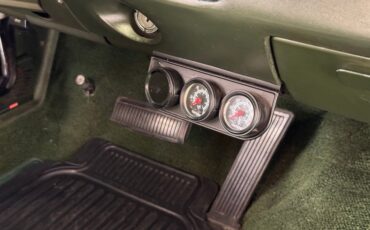 Unknown-Road-runner-1969-Frost-Green-Metallic-Light-Green-48