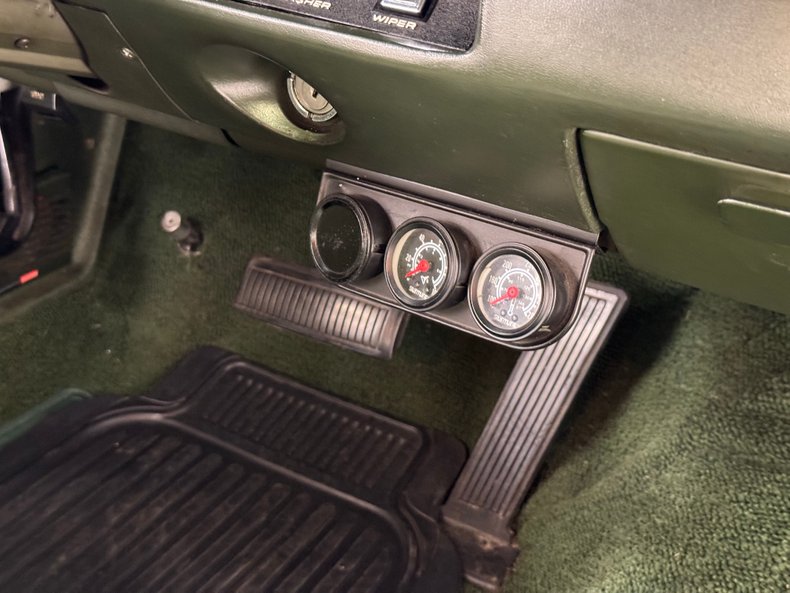 Unknown-Road-runner-1969-Frost-Green-Metallic-Light-Green-48
