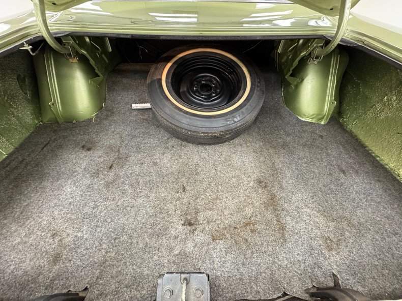 Unknown-Road-runner-1969-Frost-Green-Metallic-Light-Green-6