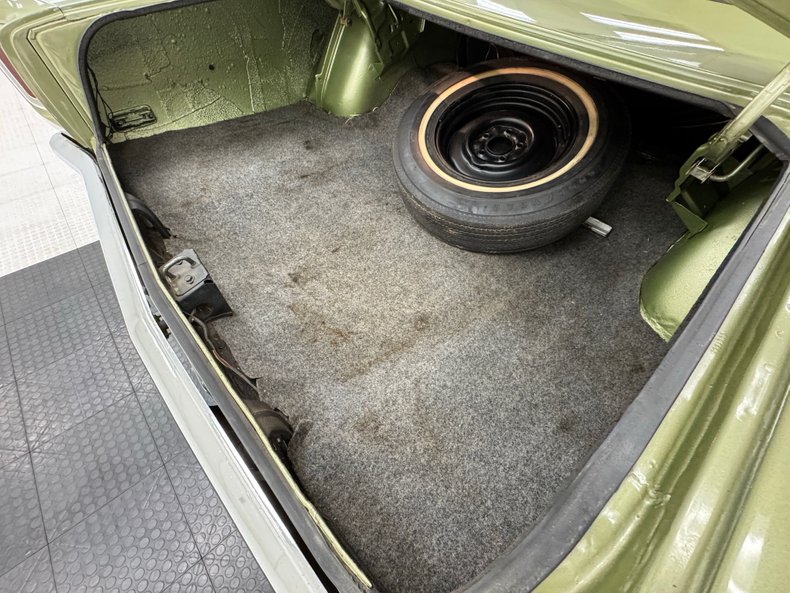 Unknown-Road-runner-1969-Frost-Green-Metallic-Light-Green-7
