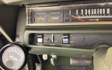 Unknown-Road-runner-1969-Frost-Green-Metallic-Light-Green-8