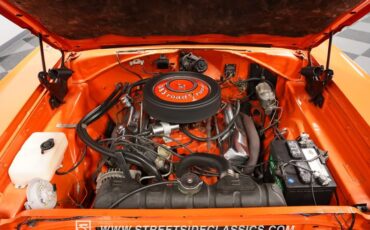 Unknown-Road-runner-1969-Vitamin-C-Black-1