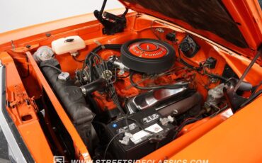 Unknown-Road-runner-1969-Vitamin-C-Black-34