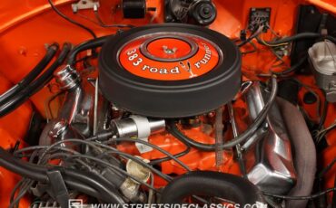 Unknown-Road-runner-1969-Vitamin-C-Black-36