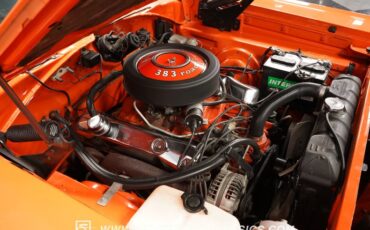 Unknown-Road-runner-1969-Vitamin-C-Black-37